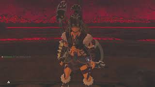 Final Boss  BOTW  Master Mode  3 heart 1 ring no stash upgrades no divine beast  no map tower [upl. by Aseek433]