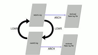 Running Oracle database in Archive log mode [upl. by Haisa]