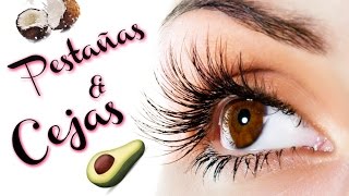 Pestañas y Cejas mas largaspobladas con remedio casero super Facil [upl. by Angele]