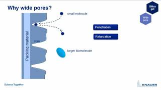 KNAUER HPLC Columns Tutorial 05 HPLC column RP widePore [upl. by Ramad]