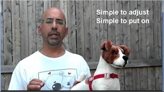 How To Fit And Adjust Your Walk Your Dog With Love dog harness 2015 Model [upl. by Daj]