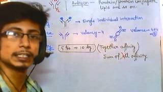 Antigen antibody reaction overview [upl. by Enovaj]