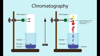 Chromatography techniques explained CLASS 11 chemistry [upl. by Ennovyhs]