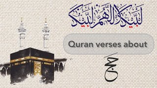 Quran verses about hajj  surah baqarah158 hajj  Teachingofislam365 hajj2024 [upl. by Marybella]