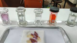 paraffin method 5 การย้อมสี Hematoxylin and Eosin HampE staining [upl. by Ericksen475]