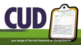 ANSES Asignaciones Familiares por Discapacidad [upl. by Currie]