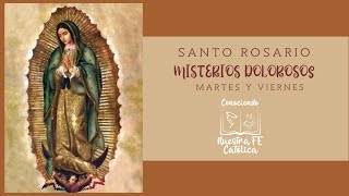 SANTO ROSARIO COMPLETO📿Misterios Dolorosos VIERNES y Martes✟🙏 [upl. by Aihsital404]