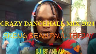 crazy dancehall mix 2024  skilibeng  teejay  busy signal  dj branham  demarco  sean paul [upl. by Enella482]