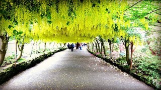 Bodnant Gardens  3rd June 2018 [upl. by Sitoeht]