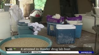 Limpopo Hawks arrest four suspects in R2bn drug bust [upl. by Dorella]