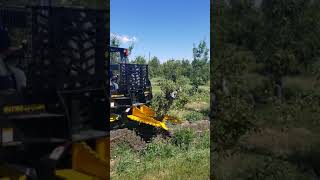 Danuser Intimidator Skid Steer Attachment [upl. by Kovacev433]