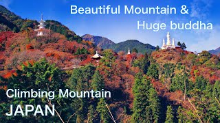 【JAPAN：Autumn Hiking】Mountain climbing to see Autumn leaves Huge buddha amp pagoda over the mountain [upl. by Alithia]