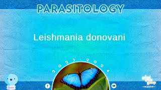 L7 part 1 leishmania donovani parasitology [upl. by Lesak]