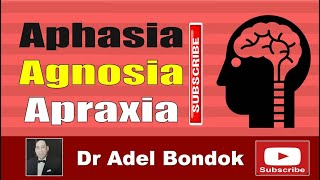 Aphasia Agnosia and Apraxia Dr Adel Bondok Making Anatomy Easy [upl. by Braca]