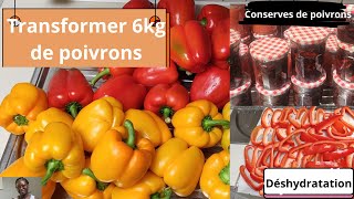 Comment CONSERVER LES POIVRONS afin den avoir même en HIVER Manger les légumes dété en HIVER [upl. by Yrrap]