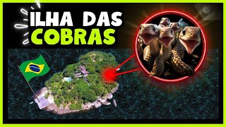 Ilha das Cobras  o maior Serpentário Natural do mundo fica no Brasil [upl. by Proffitt]