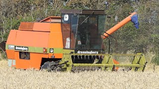 Dronningborg D3000S working in the field during Harvest 2020  Pure Nostalgia  Danish Agriculture [upl. by Stormy]