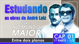 Estudando as Obras de André Luiz  Livro No Mundo Maior  Cap 1  Entre dois planos 1ª parte 12 [upl. by Eleirbag]