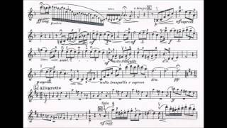 Seitz Friedrich Student Concerto No4 Op15 for violin  piano [upl. by Ojyma296]