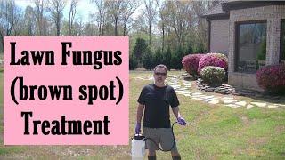 HOW TO Apply Fungicide to Treat Brown Spot in Your Lawn [upl. by Flyn597]