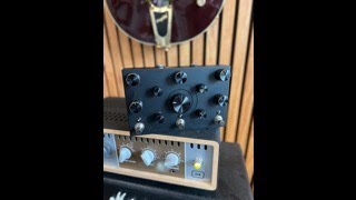 This Fuzz Pedal ROCKS  Collision Devices Black Hole Symmetry [upl. by Ivey235]