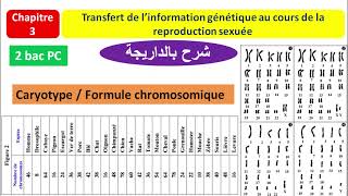 Transfert de linformation génétique au cours de la reproduction sexuée شرح بالداريجة [upl. by Eglanteen]