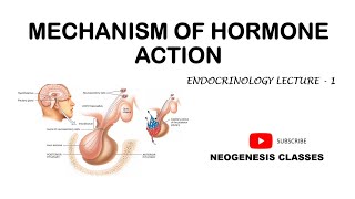 Mechanism Of Hormone Action  Endocrinology Neogenesis Classes [upl. by Choong]