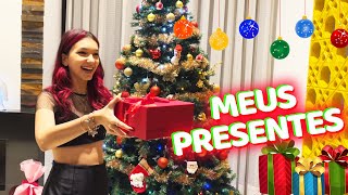 UM DIA INTEIRO nas MINHAS FÉRIAS com PRESENTES DE NATAL  Luluca [upl. by Ree]