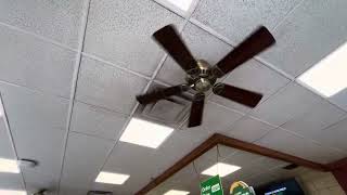 42” Hunter Beacon Hill Ceiling Fans [upl. by Kandy163]