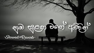 නුඹ සුළඟ වගේ ඇවිදින්  Nuba Sulga Wage Awidin  Sinhala Song SlowedReverb [upl. by Montague]