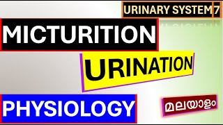 Micturition Reflex Physiology Malayalam Urination physiology Malayalam [upl. by Selmner]