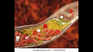 HSC BOTANY  CHAPTER 3  LIPID 02   MD SADMAN  DHAKA MEDICAL COLLEGE [upl. by Tiena]