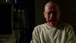 Breaking Bad but its just Walters moan [upl. by Crowley]