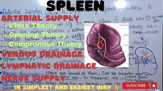 SPLEEN 3  Arterial supply  Theories  Venous drainage  Lymphatic drainage  Nerve supply [upl. by Oiramej]