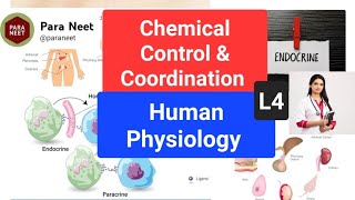 Chemical coordination and regulation mcq Lecture 4 [upl. by Frans813]