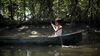 Los MANGLARES en El Salvador y la MASIVA DEFORESTACION [upl. by Shargel34]