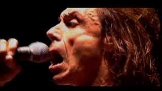 Iggy Pop  I Wanna Be Your Dog Subtítulos en Español [upl. by Nilrak]