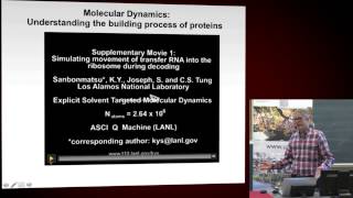 Theoretical and Computational Chemistry the Ultimate Way to Understand and Simulate Chemical Process [upl. by Wilen308]