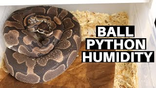 Managing Humidity For Ball Python Enclosures  Benjamins Exotics [upl. by Lawson]