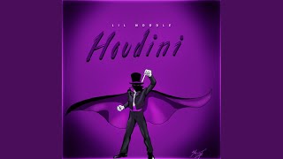 Houdini [upl. by Alleunamme]