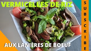 Vermicelles De Riz Aux Lanières De Boeuf et Légumes  Recette facile [upl. by Dlanger]