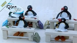 Pingu and the Paper Airplane  Pingu Official Channel [upl. by Ocicnarf]