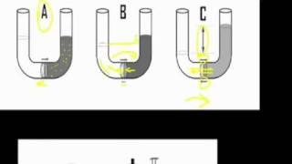 Osmotic pressure part 1 [upl. by Shrier]