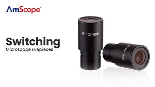 AmScope  Changing Eyepieces on M Series Microscopes M100 M150 M200 M220 M400 M500 M600 [upl. by Iorio]