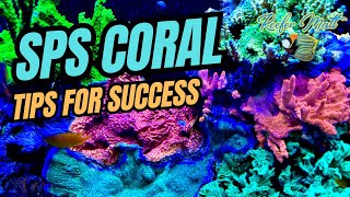 SPS Coral Care in the Reef Tank [upl. by Pahl]