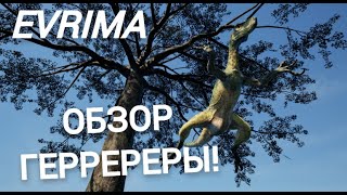 ОБЗОР НА ГЕРРЕРАЗАВРА ГАЙД EVRIMA theisleevrima [upl. by Zavala651]