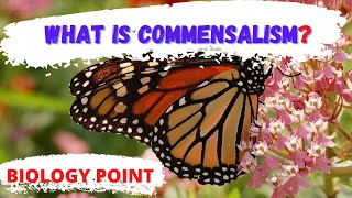 what is commensalism in biology  Commensalism  commensalism meaning  commensalism definition [upl. by Ella]