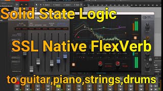 SSL Native FlexVerb  Demo [upl. by Lidda]