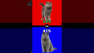 Would You Rather Part 34 Cat Breed Edition shorts [upl. by Colley]