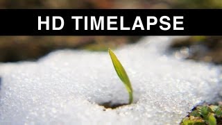 Time lapse of Snow melting HD [upl. by Inna]